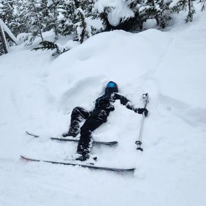 Meet your Posher, Carter